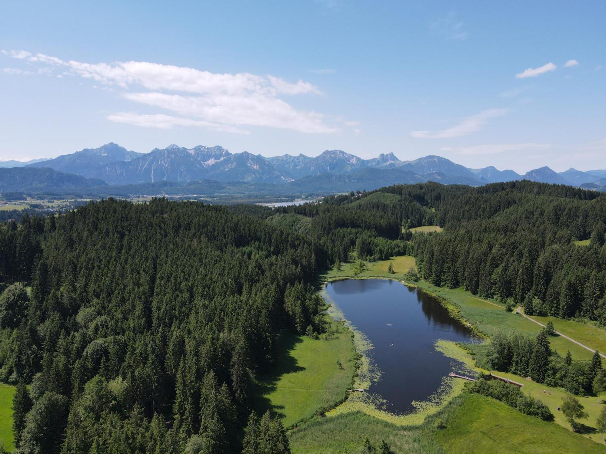 Chalet - Ferienwohnungen - Biohof Stoeger - Panoramasuedbalkon - Grandiose Aussicht Auf See, Berge Und Schloss Neuschwanstein リーデン エクステリア 写真