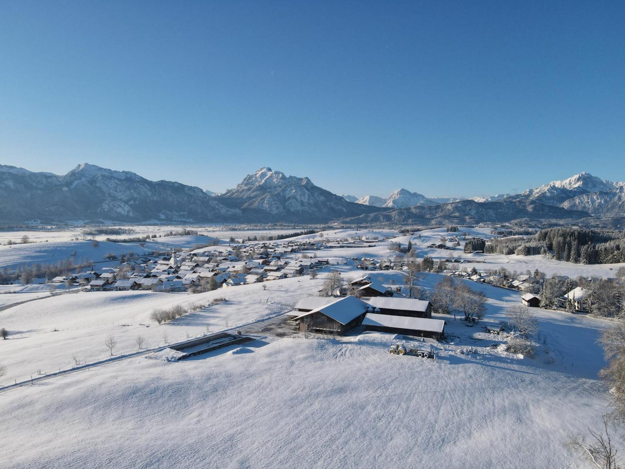 Chalet - Ferienwohnungen - Biohof Stoeger - Panoramasuedbalkon - Grandiose Aussicht Auf See, Berge Und Schloss Neuschwanstein リーデン エクステリア 写真