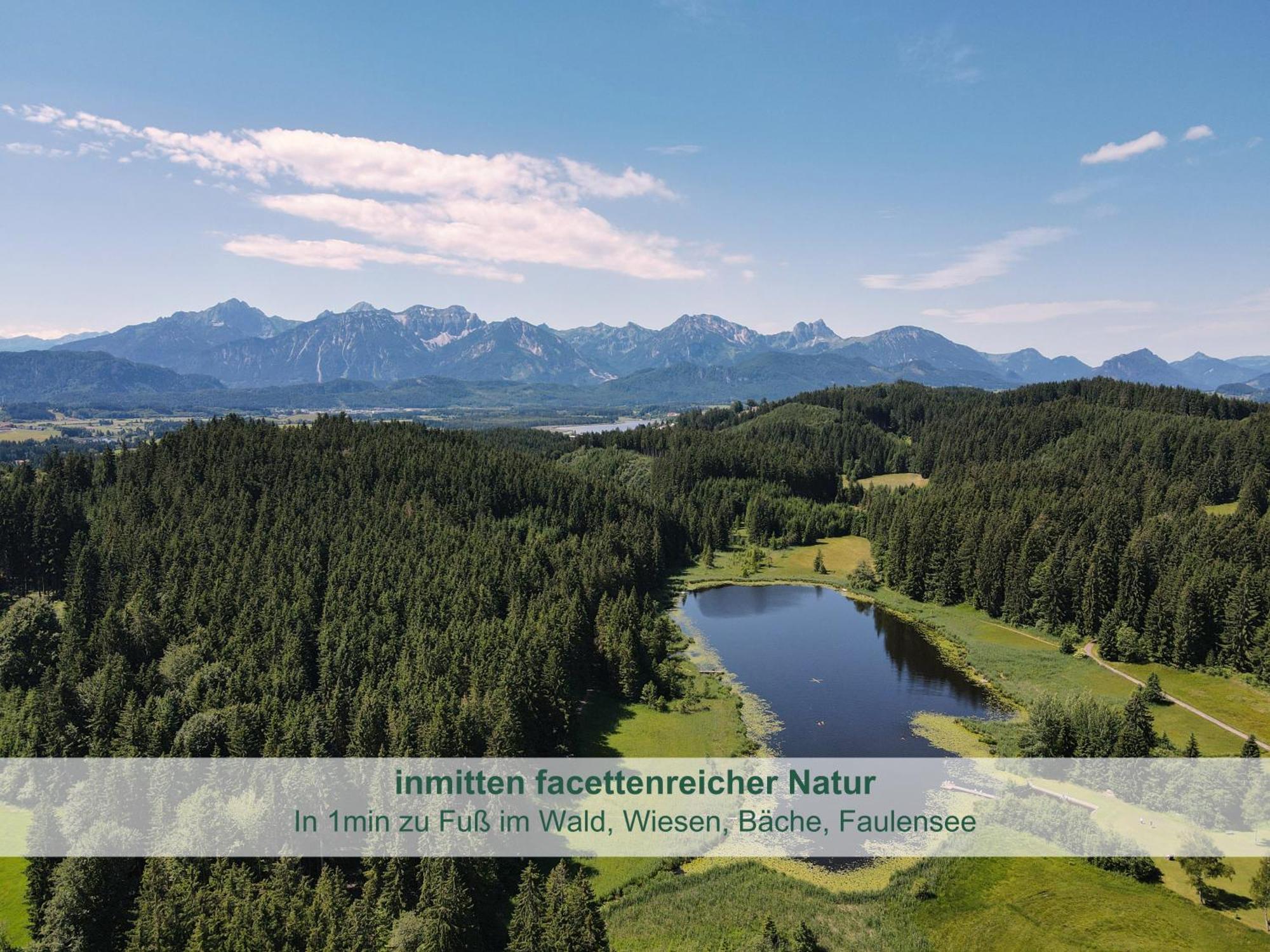 Chalet - Ferienwohnungen - Biohof Stoeger - Panoramasuedbalkon - Grandiose Aussicht Auf See, Berge Und Schloss Neuschwanstein リーデン エクステリア 写真