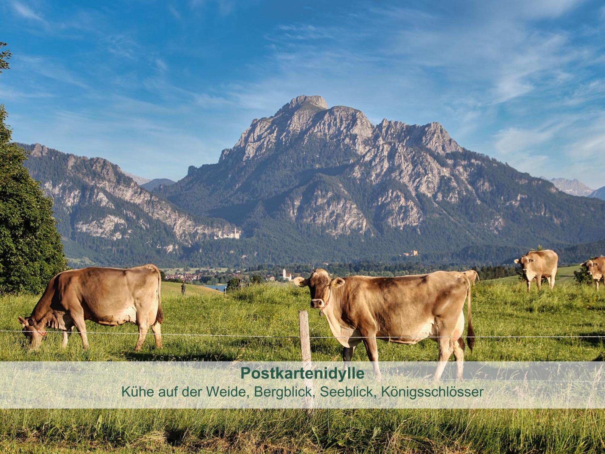 Chalet - Ferienwohnungen - Biohof Stoeger - Panoramasuedbalkon - Grandiose Aussicht Auf See, Berge Und Schloss Neuschwanstein リーデン エクステリア 写真