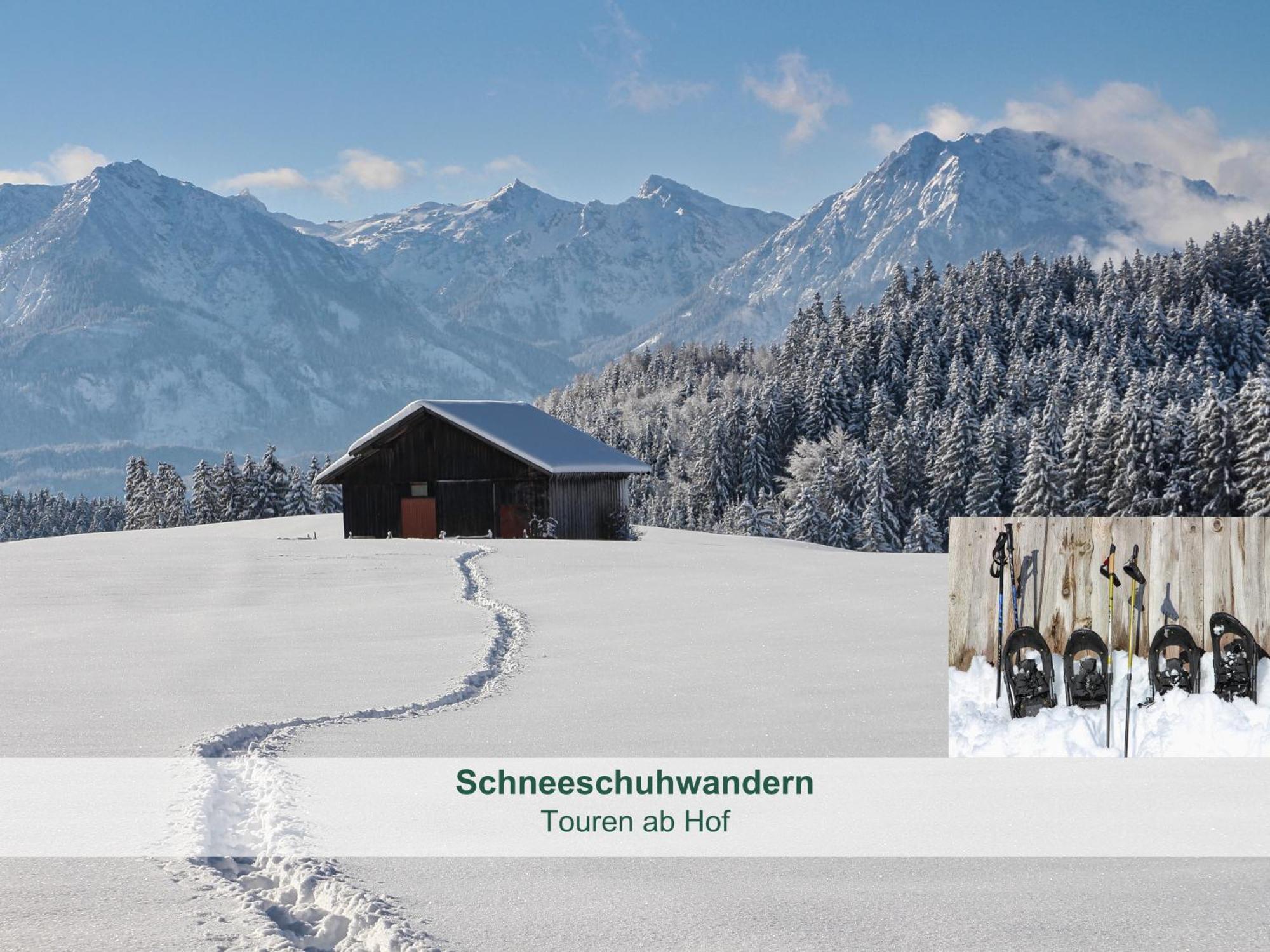 Chalet - Ferienwohnungen - Biohof Stoeger - Panoramasuedbalkon - Grandiose Aussicht Auf See, Berge Und Schloss Neuschwanstein リーデン エクステリア 写真