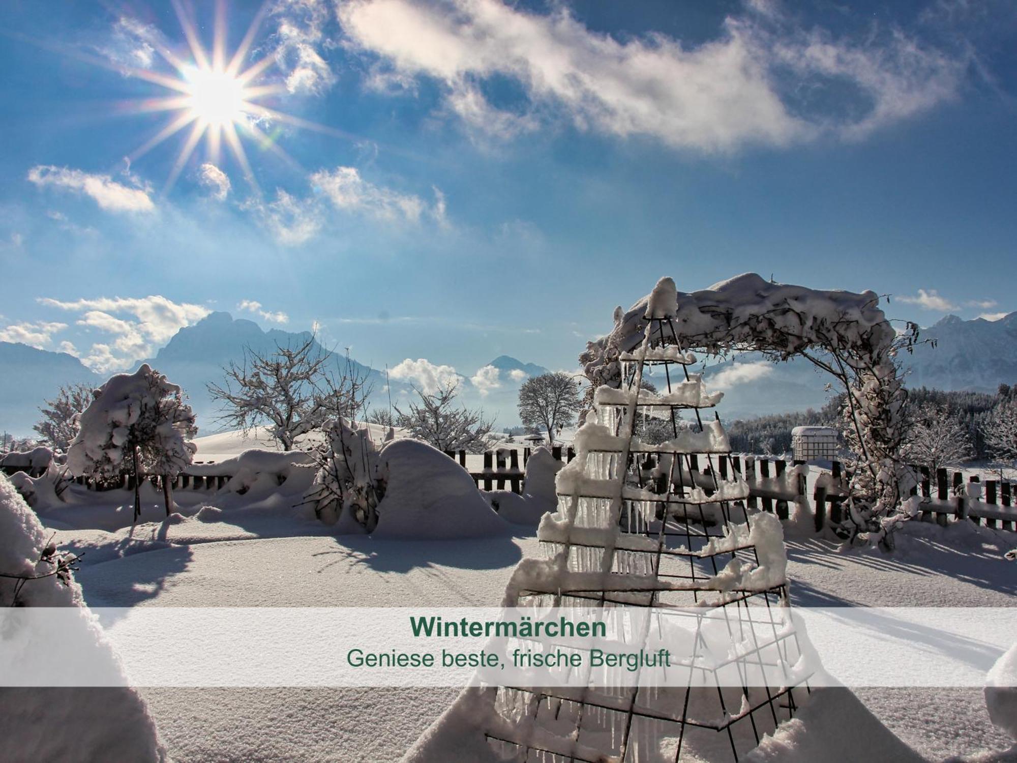 Chalet - Ferienwohnungen - Biohof Stoeger - Panoramasuedbalkon - Grandiose Aussicht Auf See, Berge Und Schloss Neuschwanstein リーデン エクステリア 写真