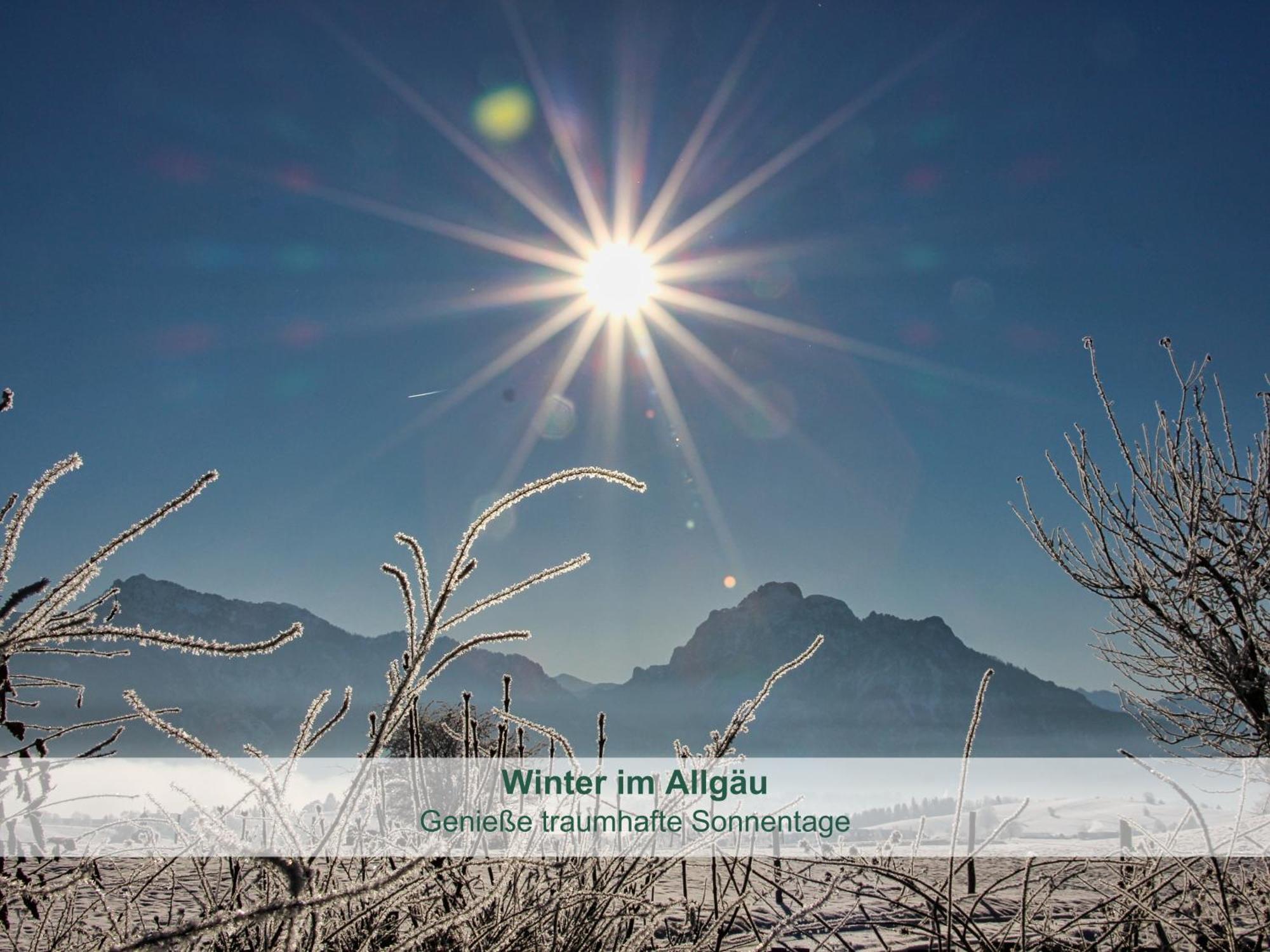 Chalet - Ferienwohnungen - Biohof Stoeger - Panoramasuedbalkon - Grandiose Aussicht Auf See, Berge Und Schloss Neuschwanstein リーデン エクステリア 写真