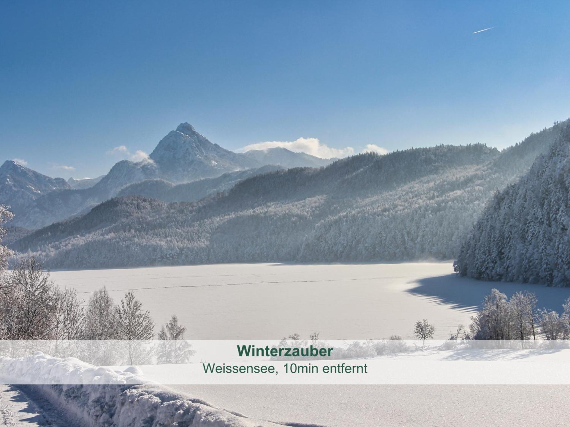 Chalet - Ferienwohnungen - Biohof Stoeger - Panoramasuedbalkon - Grandiose Aussicht Auf See, Berge Und Schloss Neuschwanstein リーデン エクステリア 写真
