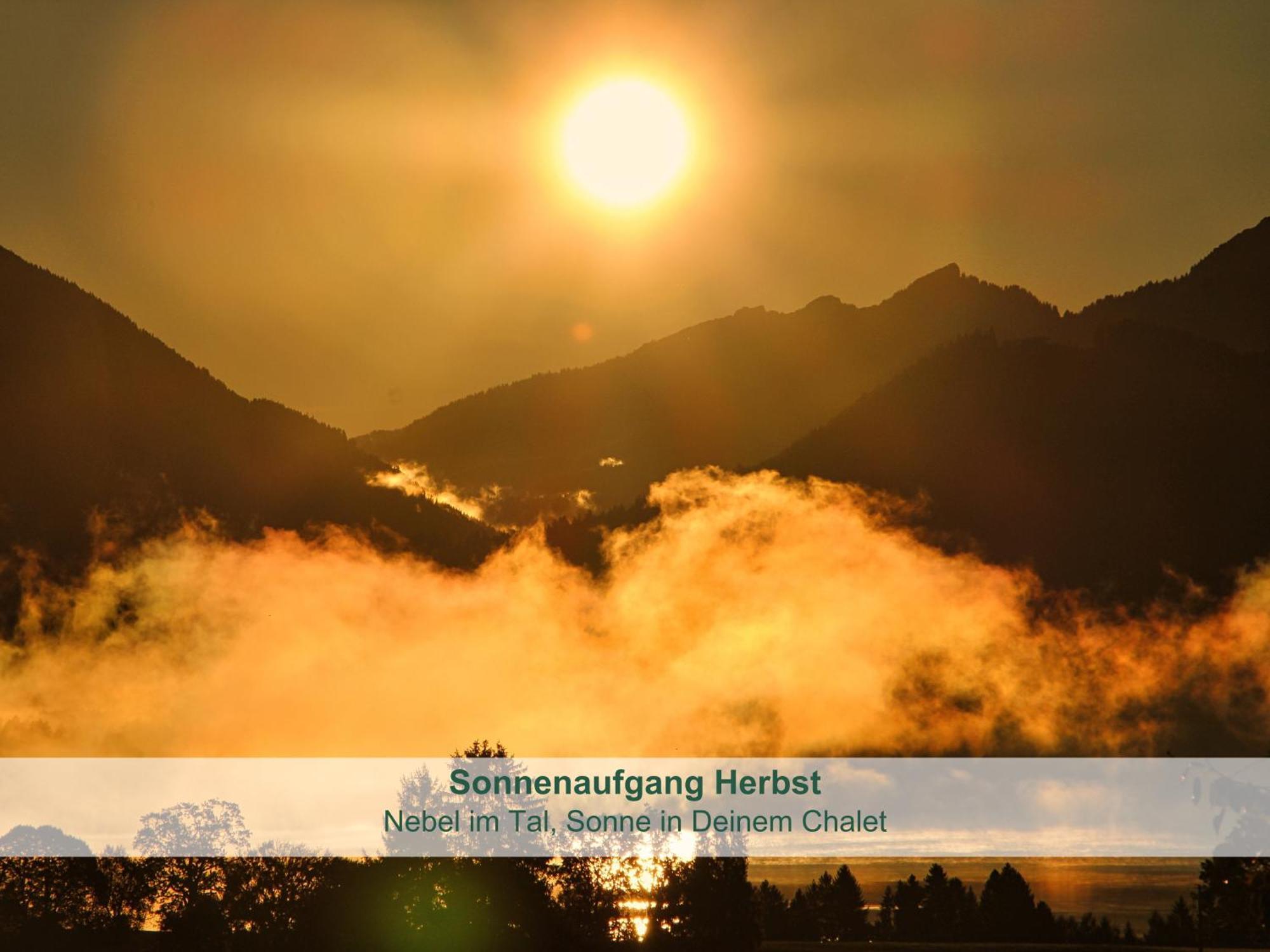 Chalet - Ferienwohnungen - Biohof Stoeger - Panoramasuedbalkon - Grandiose Aussicht Auf See, Berge Und Schloss Neuschwanstein リーデン エクステリア 写真