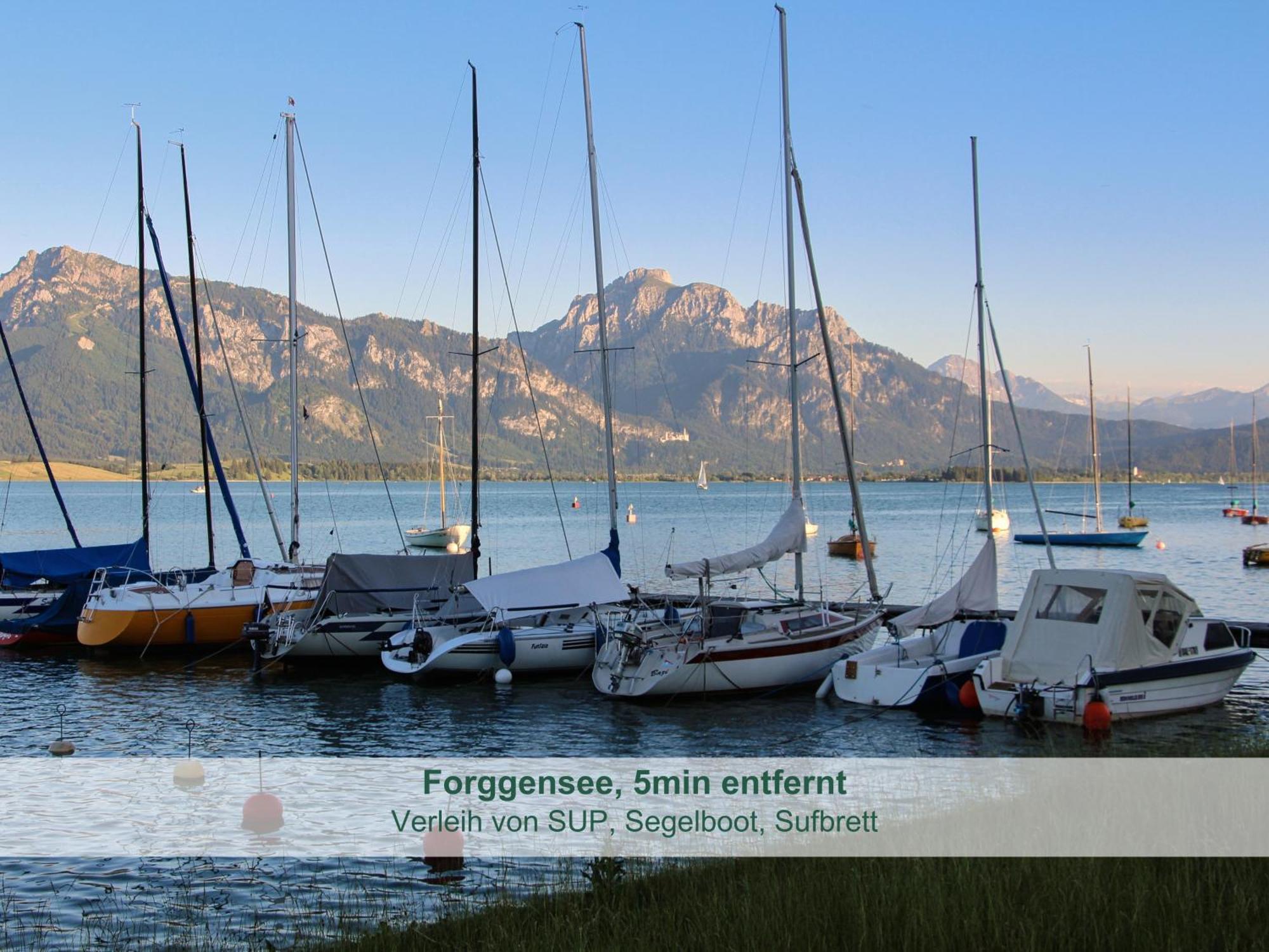Chalet - Ferienwohnungen - Biohof Stoeger - Panoramasuedbalkon - Grandiose Aussicht Auf See, Berge Und Schloss Neuschwanstein リーデン エクステリア 写真